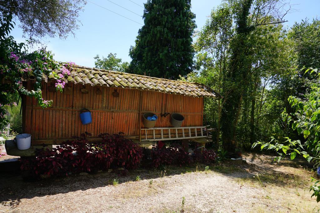 Hotel Casa Do Lugar De Pacos Caldelas Exterior foto